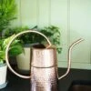 Copper Indoor Watering Can 1 Copper Indoor Watering Can -Garden Supplies Sales 8593724 5369 tif