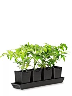 Pop-Out Pots, Set Of 4 -Garden Supplies Sales 8593943 1260 tif