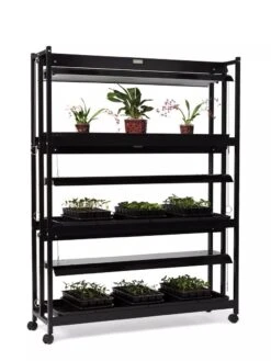 High Intensity 3-Tier SunLite® Garden 13 High Intensity 3-Tier SunLite® Garden -Garden Supplies Sales 8593944 1608 tif