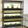 High Intensity 3-Tier SunLite® Garden -Garden Supplies Sales 8593944 1773 3 tier high intensity grow lights tif