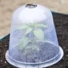 Large Garden Cloches, Set Of 3 -Garden Supplies Sales 8593984 345 tif