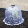 Medium Garden Cloches, Set Of 6 -Garden Supplies Sales 8593985 347 tif