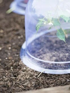 Medium Garden Cloches, Set Of 6 -Garden Supplies Sales 8593985 9441 tif