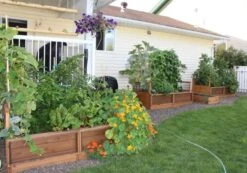 OLT Raised Cedar Garden Bed, 3' X 6' -Garden Supplies Sales 8594002 03V tif