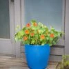 Viva Round Self-Watering Rolling Planter, 17.25” Diameter 1 Viva Round Self-Watering Rolling Planter, 17.25” Diameter -Garden Supplies Sales 8594077 0087 tif