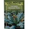 Lacinato Dino Kale Organic Seeds -Garden Supplies Sales 8594082 9241 tif