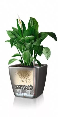 Lechuza® Quadro LS Premium Self-Watering Square Planters -Garden Supplies Sales 8594096 05V tif