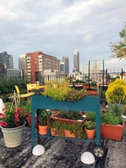 Demeter Mobile Planter Cart -Garden Supplies Sales 8594148 01CUST tif