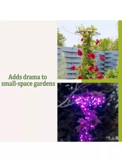 Essex Tuteur, 63" 13 Essex Tuteur, 63" -Garden Supplies Sales 8594162 3