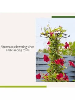 Essex Tuteur, 63" 12 Essex Tuteur, 63" -Garden Supplies Sales 8594162 4