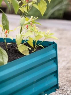 Demeter Corrugated Metal Raised Bed, 34" X 68" -Garden Supplies Sales 8594183 470 tif 1