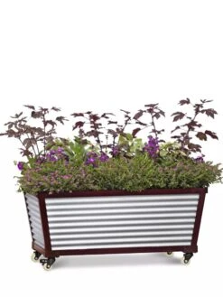 Short Galvanized Self-Watering Trough Planter -Garden Supplies Sales 8594329 5065 tif