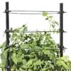 Gardener's Revolution® Classic Tomato Extension 1 Gardener's Revolution® Classic Tomato Extension -Garden Supplies Sales 8594367 0047 001E gardeners revolution classic tomato cage extension tif
