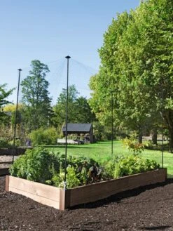 Protection Stakes For Netting, Set Of 4 -Garden Supplies Sales 8594434 0015 tif