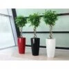 Lechuza® Rondo Self-Watering Planters -Garden Supplies Sales 8594586 01V tif