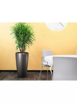 Lechuza® Rondo Self-Watering Planters 8 Lechuza® Rondo Self-Watering Planters -Garden Supplies Sales 8594586 02V tif