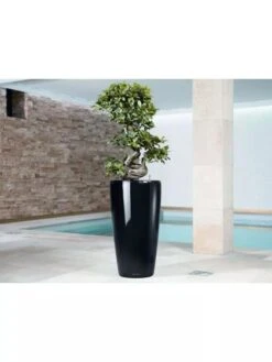 Lechuza® Rondo Self-Watering Planters 7 Lechuza® Rondo Self-Watering Planters -Garden Supplies Sales 8594586 04V tif