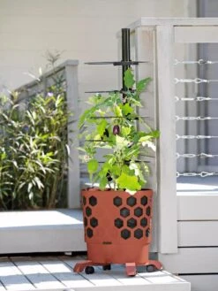 Gardener's Revolution® Tomato Planter -Garden Supplies Sales 8594743 2618 tif