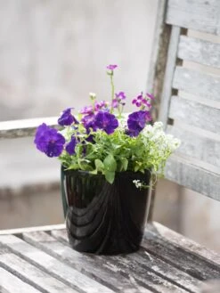 Viva Round Self-Watering Planter, 7" Diameter 11 Viva Round Self-Watering Planter, 7" Diameter -Garden Supplies Sales 8595222 1140 tif