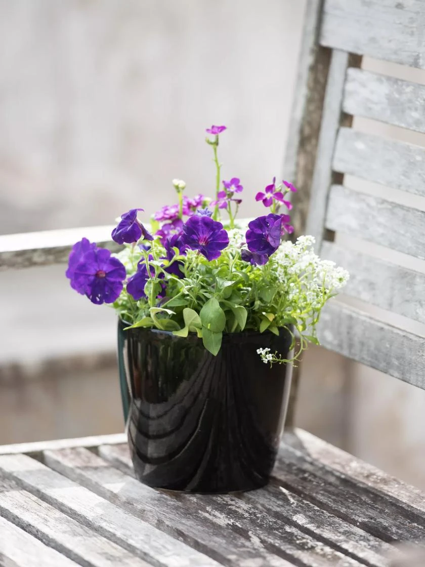 Viva Round Self-Watering Planter, 7" Diameter 7 Viva Round Self-Watering Planter, 7" Diameter - Image 5