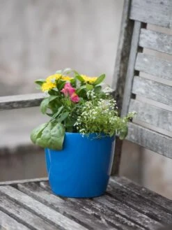 Viva Round Self-Watering Planter, 7" Diameter 9 Viva Round Self-Watering Planter, 7" Diameter -Garden Supplies Sales 8595222 1143 tif