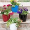 Viva Round Self-Watering Planter, 7" Diameter -Garden Supplies Sales 8595222 5302 tif