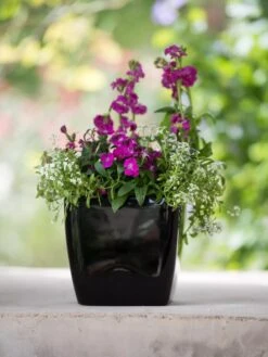 Viva Square Self-Watering Planter, 7" Diameter -Garden Supplies Sales 8595223 1107 tif