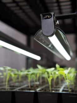 LED Stack-n-Grow Lights - Base Unit -Garden Supplies Sales 8595770 7346 tif