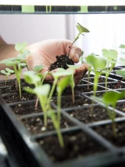 LED Stack-n-Grow Lights - Base Unit -Garden Supplies Sales 8595770 7373 tif