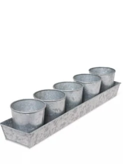 Galvanized Herb Planters With Rectangular Tray 9 Galvanized Herb Planters With Rectangular Tray -Garden Supplies Sales 8595903 3924 tif