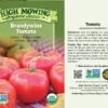 Brandywine Tomato Organic Seeds 1 Brandywine Tomato Organic Seeds -Garden Supplies Sales 8596098 001V Brandywine Tomato tif