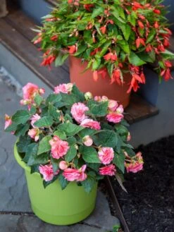 Eezy Gro Self-Watering Planters -Garden Supplies Sales 8596427 0034 tif