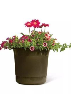 Eezy Gro Self-Watering Planters -Garden Supplies Sales 8596427 108 tif