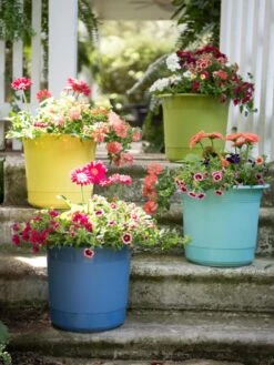 Eezy Gro Self-Watering Planters -Garden Supplies Sales 8596427 8090 tif