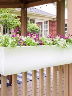 Valencia Window Box, 4' -Garden Supplies Sales 8596437 006V tif