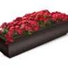 Valencia Window Box, 4' -Garden Supplies Sales 8596437 10V tif