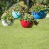 Viva Self-Watering Hanging Basket, 14" Diameter -Garden Supplies Sales 8596442 0851 tif
