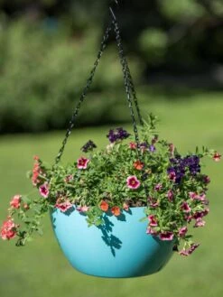 Viva Self-Watering Hanging Basket, 14" Diameter -Garden Supplies Sales 8596442 0859 tif