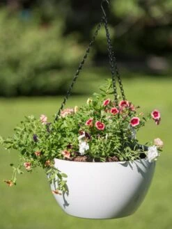 Viva Self-Watering Hanging Basket, 14" Diameter -Garden Supplies Sales 8596442 0864 tif