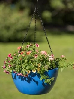 Viva Self-Watering Hanging Basket, 14" Diameter -Garden Supplies Sales 8596442 0876 tif