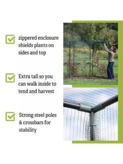 Crop Cage, 4' X 12' 10 Crop Cage, 4' X 12' -Garden Supplies Sales 8596540 4