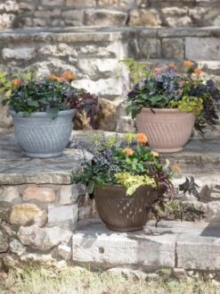 Mazzano Self-Watering Planters 10 Mazzano Self-Watering Planters -Garden Supplies Sales 8596563 4899 tif