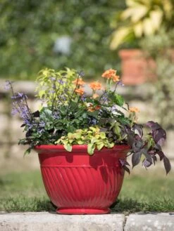Mazzano Self-Watering Planters 13 Mazzano Self-Watering Planters -Garden Supplies Sales 8596564 4883 tif