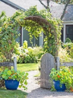 Garden Supplies Sales 24 Garden Supplies Sales -Garden Supplies Sales 8596570 10231 tif