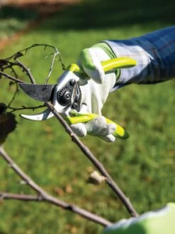 Gardener's Pro Pruner #2 -Garden Supplies Sales 8596605 032 tif