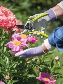 Gardener's Pro Pruner #2 -Garden Supplies Sales 8596605 1261 tif