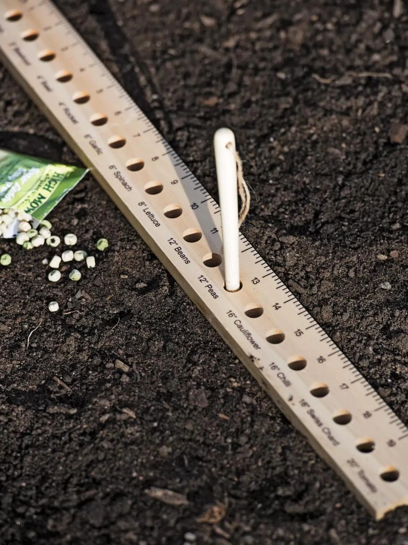 Intervale Seed And Plant Spacing Ruler 3 Intervale Seed And Plant Spacing Ruler