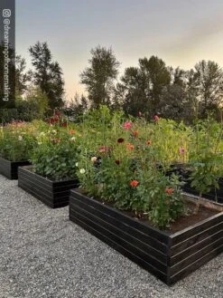 Gardener’s Exterior Wood Stain, 1 Quart -Garden Supplies Sales 8596700 02IN