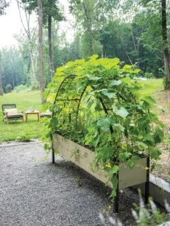 Eco-Stained Elevated Planter Box, 2'x8' -Garden Supplies Sales 8596760 0046 tif 1