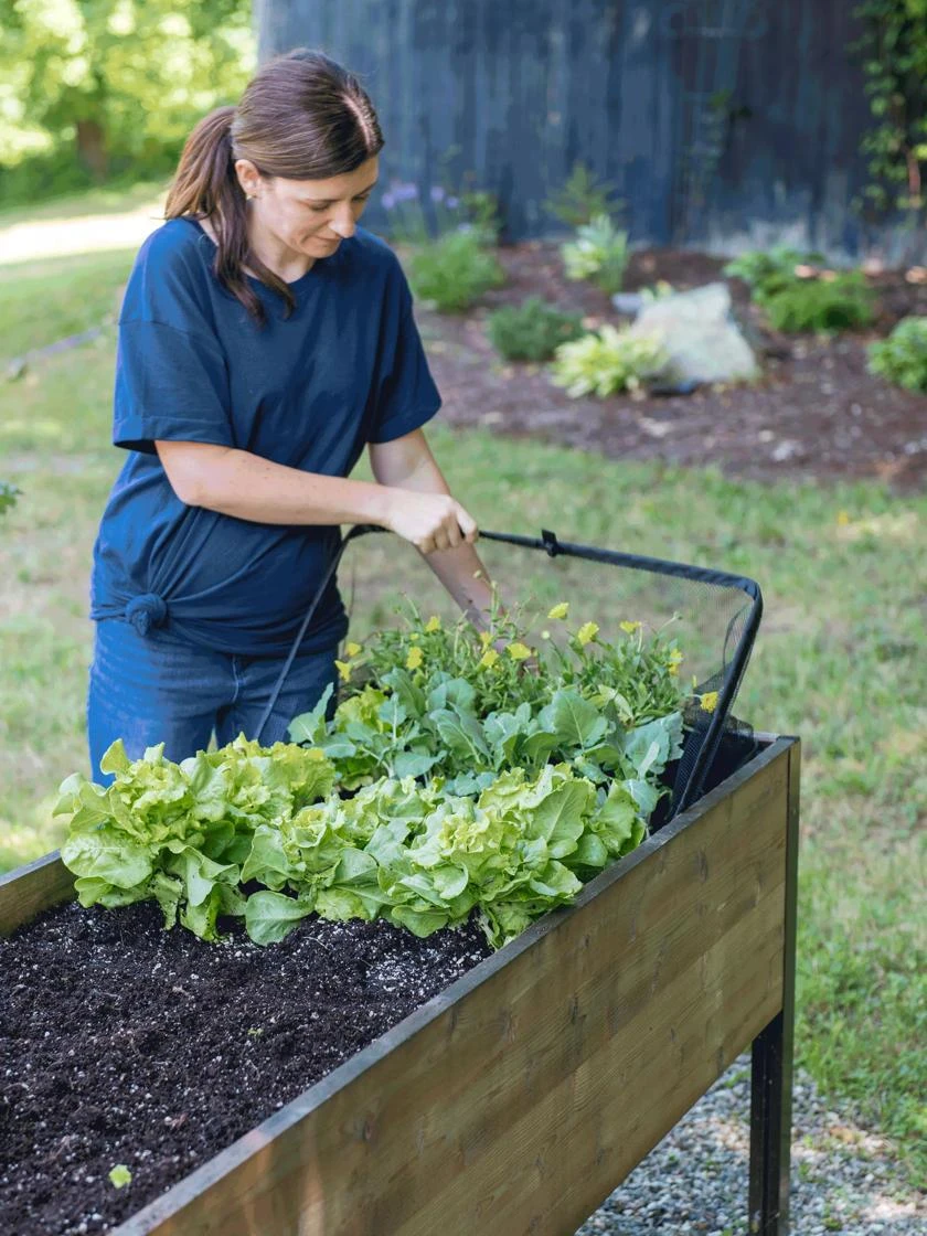 Pop-Up Bird Netting 4 Pop-Up Bird Netting - Image 2